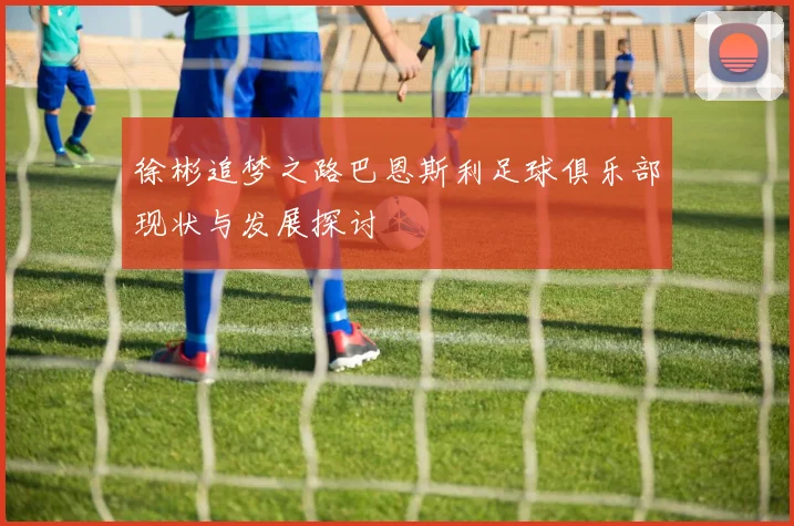 徐彬追梦之路巴恩斯利足球俱乐部现状与发展探讨
