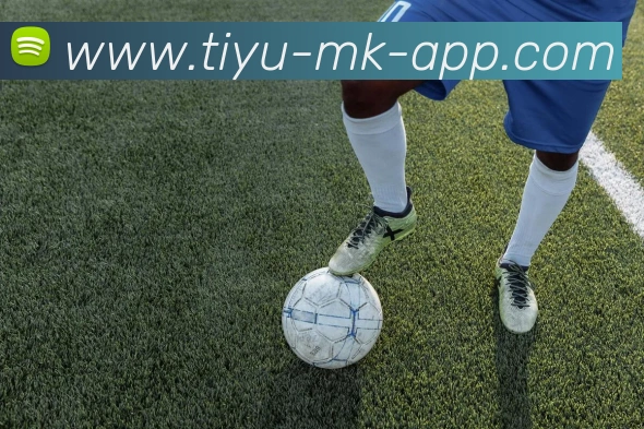 MK体育平台生态图