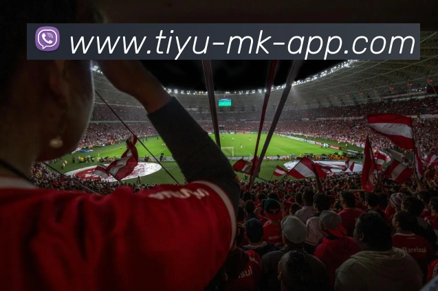 MK体育APP 封面图