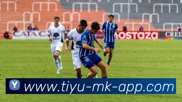 数据防护可视化